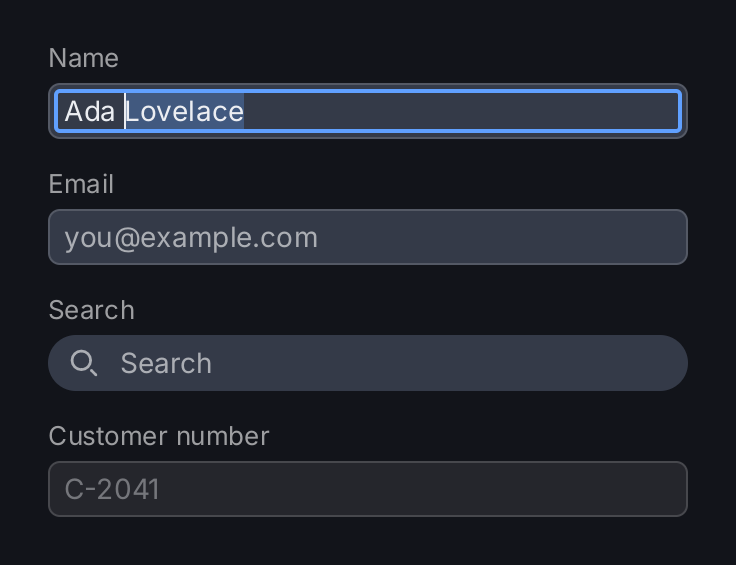 Four text fields: a focused one with a selected word, one with a placeholder, a search box with an icon and a disabled one