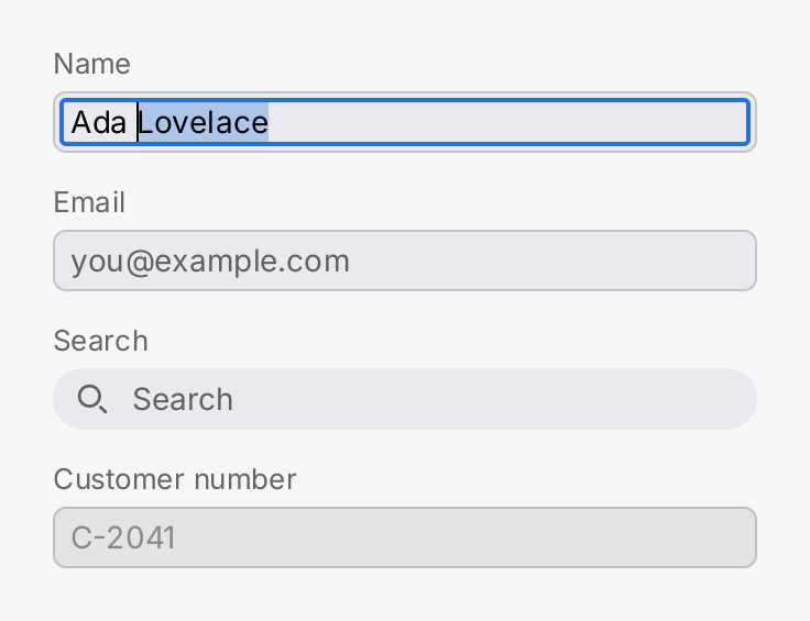 Four text fields: a focused one with a selected word, one with a placeholder, a search box with an icon and a disabled one