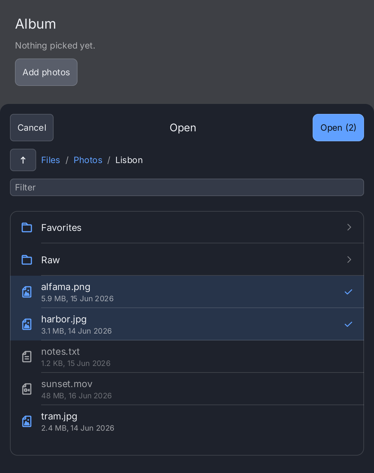 A file picker in a sheet, two pictures selected, a text file and a video listed but disabled
