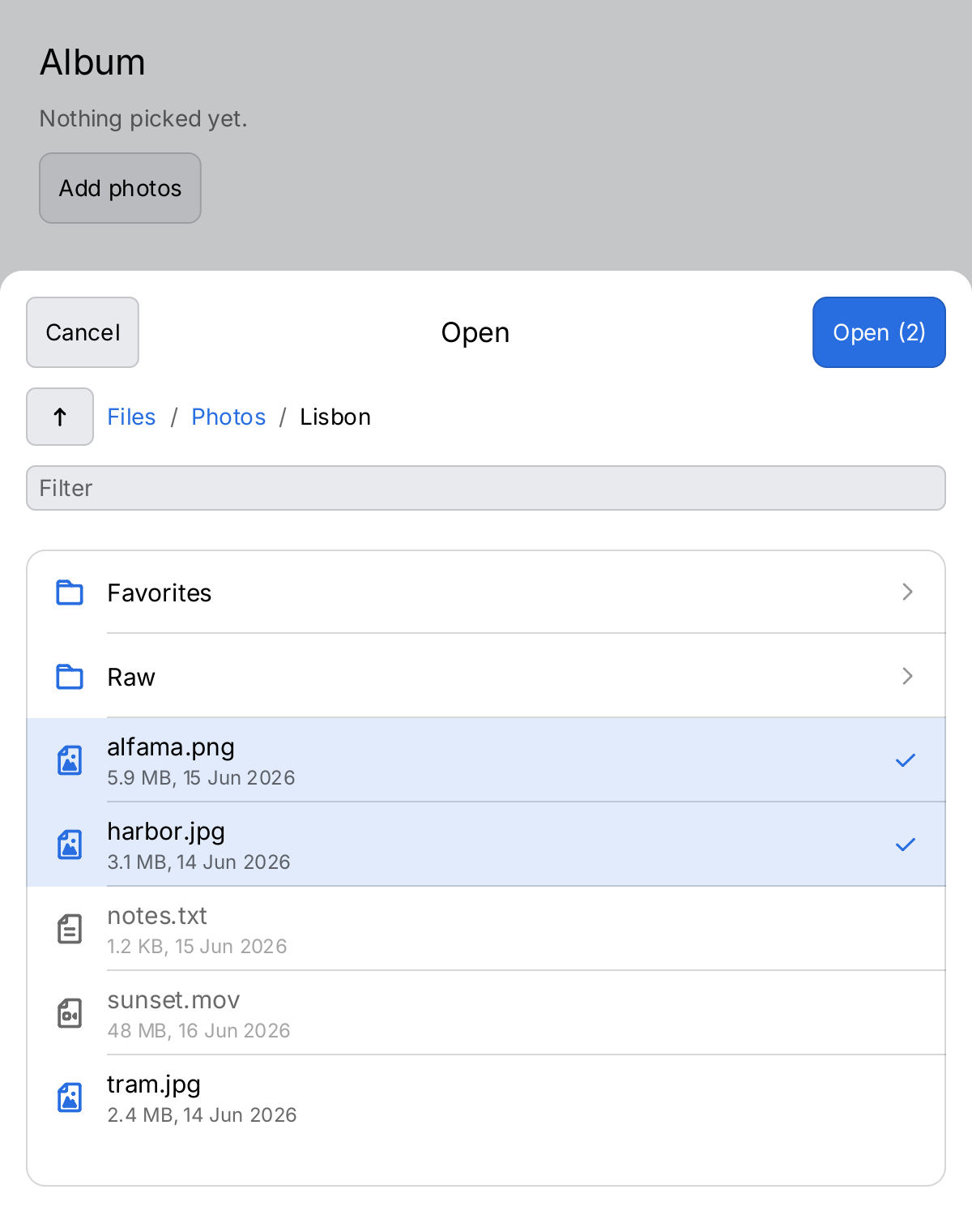 A file picker in a sheet, two pictures selected, a text file and a video listed but disabled